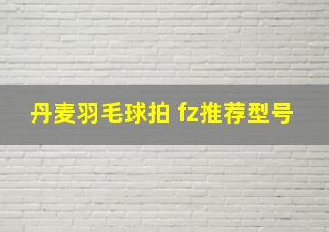 丹麦羽毛球拍 fz推荐型号